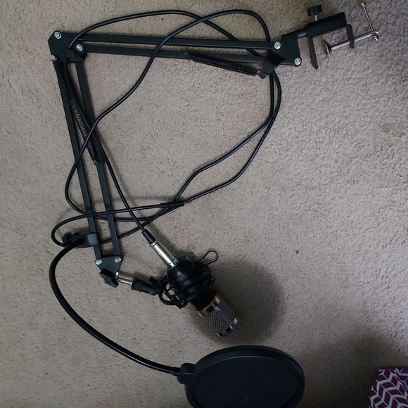 Microphone - Picture 1 of 1